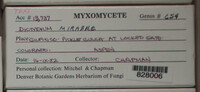 Image Associated With the Occurence